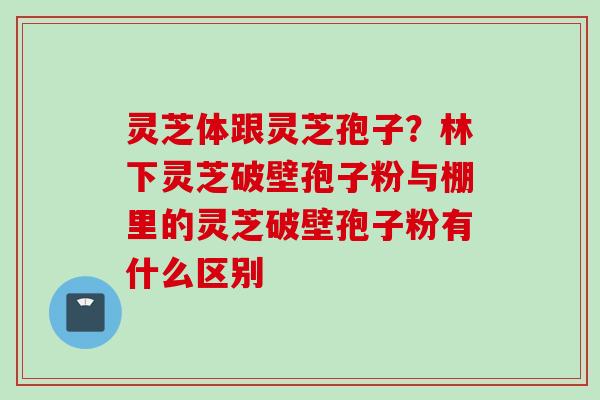 灵芝体跟灵芝孢子？林下灵芝破壁孢子粉与棚里的灵芝破壁孢子粉有什么区别