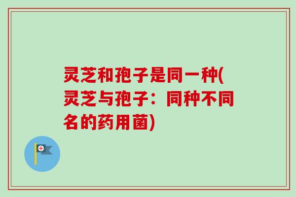 灵芝和孢子是同一种(灵芝与孢子：同种不同名的药用菌)