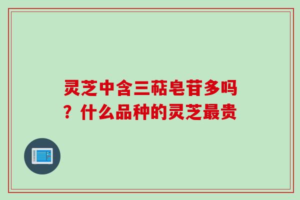 灵芝中含三萜皂苷多吗？什么品种的灵芝最贵