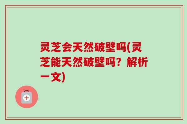 灵芝会天然破壁吗(灵芝能天然破壁吗？解析一文)
