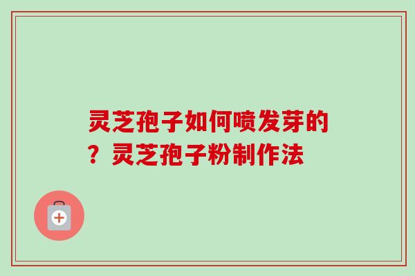 灵芝孢子如何喷发芽的？灵芝孢子粉制作法