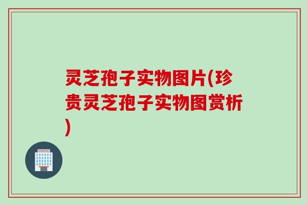灵芝孢子实物图片(珍贵灵芝孢子实物图赏析) 灵芝孢子实物图片(珍贵灵芝孢子实物图赏析)
