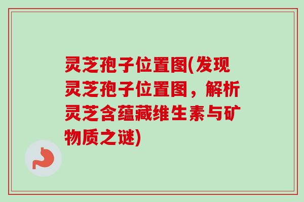 灵芝孢子位置图(发现灵芝孢子位置图,解析灵芝含蕴藏维生素与矿物质之谜) 灵芝孢子位置图(发现灵芝孢子位置图,解析灵芝含蕴藏维生素与矿物质之谜)