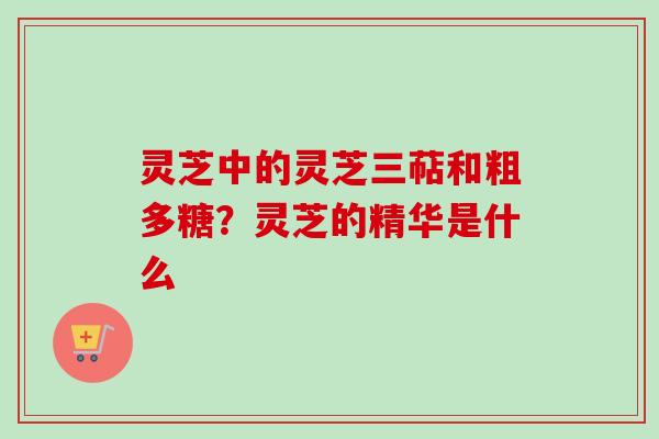 灵芝中的灵芝三萜和粗多糖？灵芝的精华是什么