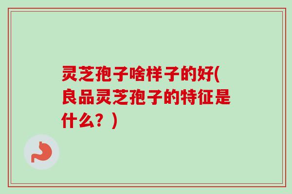 灵芝孢子啥样子的好(良品灵芝孢子的特征是什么？)