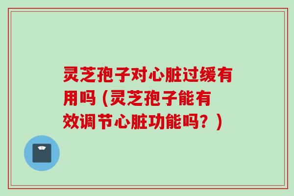 灵芝孢子对心脏过缓有用吗 (灵芝孢子能有效调节心脏功能吗？)