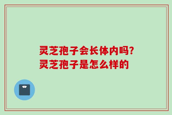 灵芝孢子会长体内吗？灵芝孢子是怎么样的