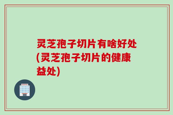 灵芝孢子切片有啥好处(灵芝孢子切片的健康益处)