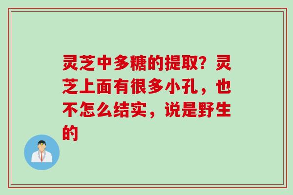 灵芝中多糖的提取？灵芝上面有很多小孔，也不怎么结实，说是野生的