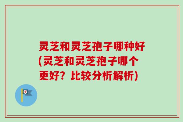 灵芝和灵芝孢子哪种好(灵芝和灵芝孢子哪个更好？比较分析解析)