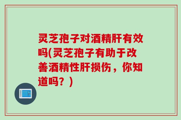 灵芝孢子对酒精肝有效吗(灵芝孢子有助于改善酒精性肝损伤，你知道吗？)
