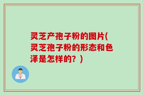 灵芝产孢子粉的图片(灵芝孢子粉的形态和色泽是怎样的？)
