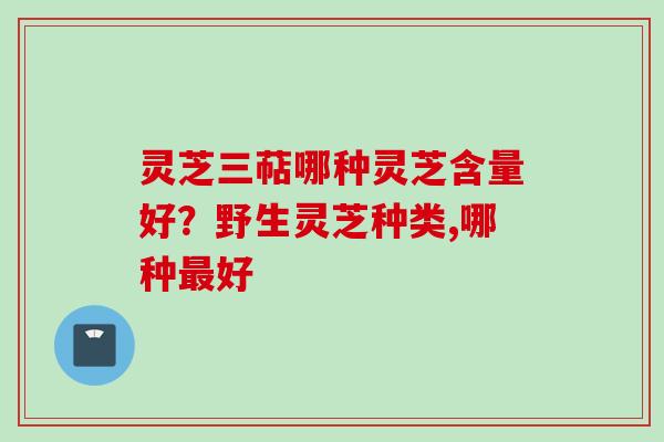 灵芝三萜哪种灵芝含量好?野生灵芝种类,哪种好 灵芝三萜哪种灵芝含量好?野生灵芝种类,哪种好