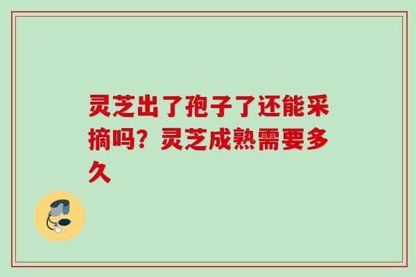 灵芝出了孢子了还能采摘吗?灵芝成熟需要多久 灵芝出了孢子了还能采摘吗?灵芝成熟需要多久