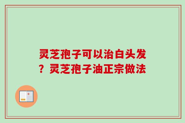 灵芝孢子可以白头发?灵芝孢子油正宗做法 灵芝孢子可以白头发?灵芝孢子油正宗做法