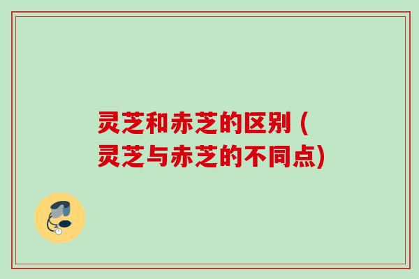 灵芝和赤芝的区别 (灵芝与赤芝的不同点)