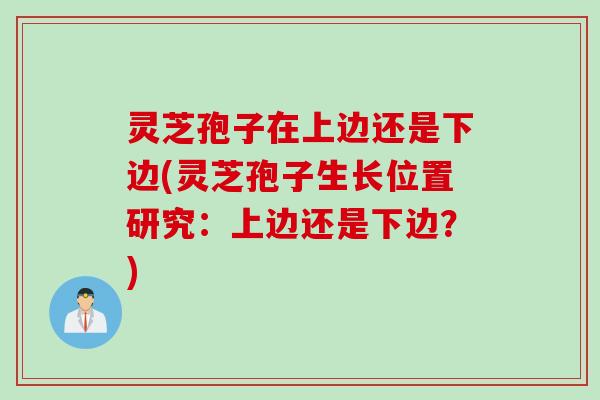 灵芝孢子在上边还是下边(灵芝孢子生长位置研究：上边还是下边？)
