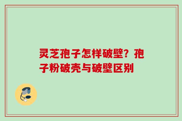 灵芝孢子怎样破壁？孢子粉破壳与破壁区别