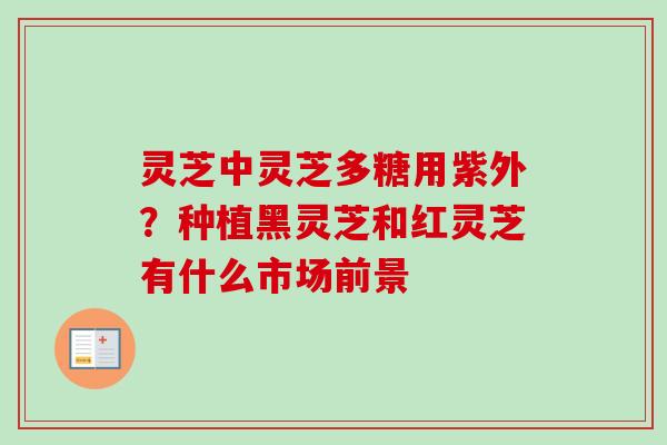 灵芝中灵芝多糖用紫外？种植黑灵芝和红灵芝有什么市场前景
