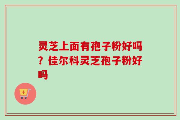 灵芝上面有孢子粉好吗？佳尔科灵芝孢子粉好吗