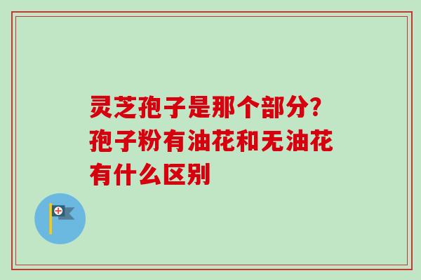 灵芝孢子是那个部分？孢子粉有油花和无油花有什么区别
