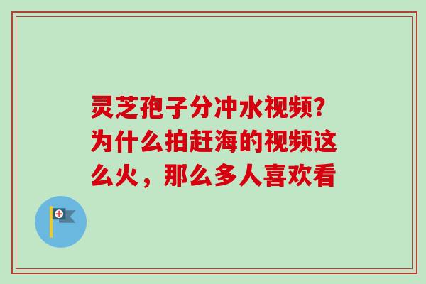 灵芝孢子分冲水视频？为什么拍赶海的视频这么火，那么多人喜欢看