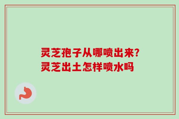 灵芝孢子从哪喷出来？灵芝出土怎样喷水吗