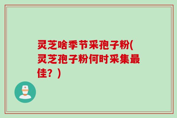 灵芝啥季节采孢子粉(灵芝孢子粉何时采集最佳？)