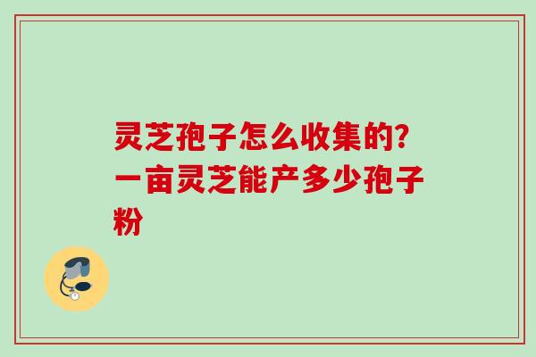 灵芝孢子怎么收集的？一亩灵芝能产多少孢子粉
