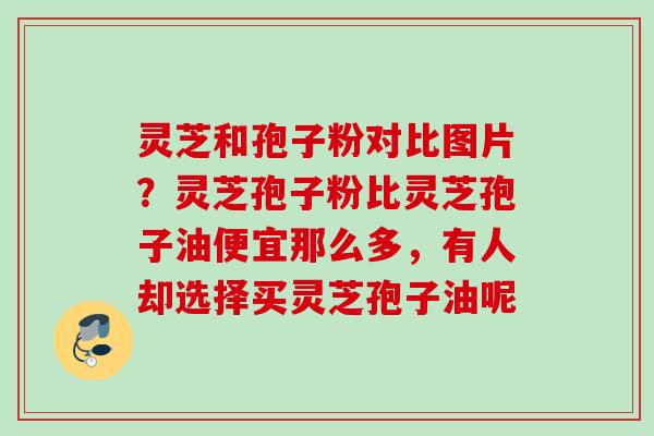 灵芝和孢子粉对比图片?灵芝孢子粉比灵芝孢子油便宜那么多,有人却选择买灵芝孢子油呢 灵芝和孢子粉对比图片?灵芝孢子粉比灵芝孢子油便宜那么多,有人却选择买灵芝孢子油呢