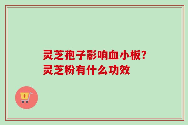 灵芝孢子影响血小板？灵芝粉有什么功效
