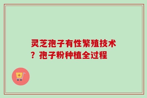 灵芝孢子有性繁殖技术？孢子粉种植全过程