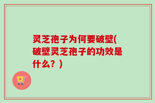灵芝孢子为何要破壁(破壁灵芝孢子的功效是什么？)