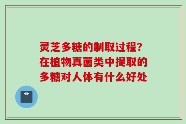 灵芝多糖的制取过程？在植物真菌类中提取的多糖对人体有什么好处
