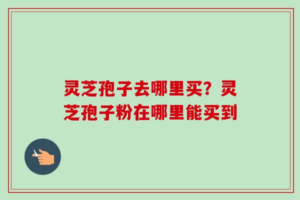 灵芝孢子去哪里买？灵芝孢子粉在哪里能买到