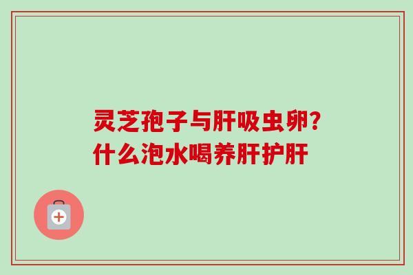 灵芝孢子与肝吸虫卵？什么泡水喝养肝护肝