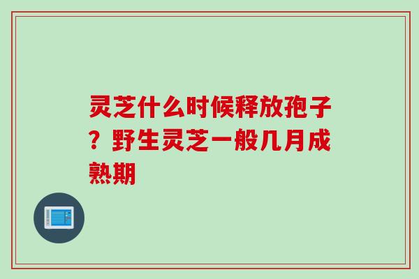 灵芝什么时候释放孢子？野生灵芝一般几月成熟期