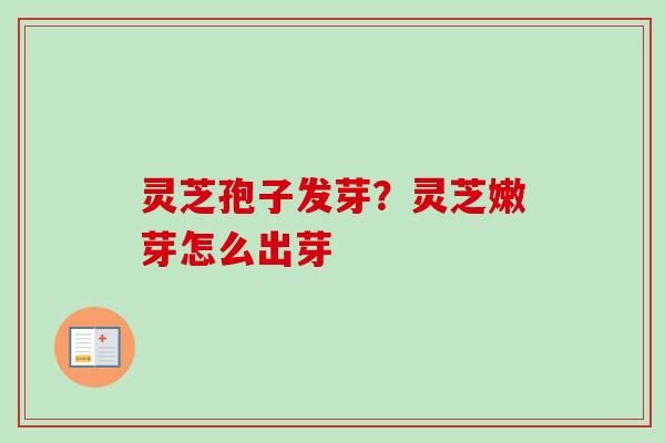 灵芝孢子发芽?灵芝嫩芽怎么出芽 灵芝孢子发芽?灵芝嫩芽怎么出芽