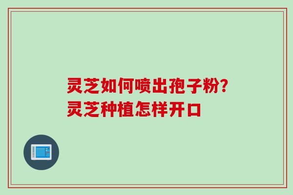 灵芝如何喷出孢子粉？灵芝种植怎样开口