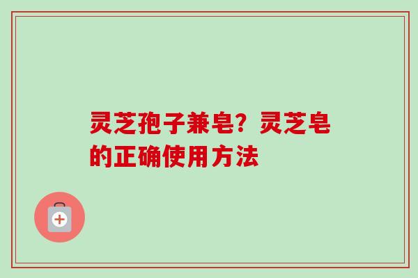 灵芝孢子兼皂？灵芝皂的正确使用方法
