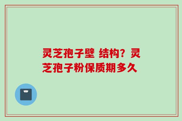 灵芝孢子壁 结构？灵芝孢子粉保质期多久