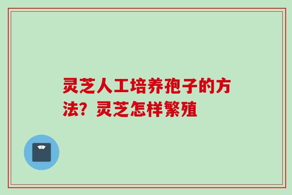 灵芝人工培养孢子的方法？灵芝怎样繁殖