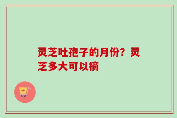 灵芝吐孢子的月份？灵芝多大可以摘