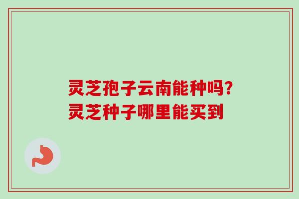 灵芝孢子云南能种吗？灵芝种子哪里能买到