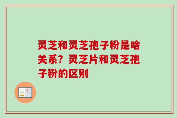 灵芝和灵芝孢子粉是啥关系？灵芝片和灵芝孢子粉的区别