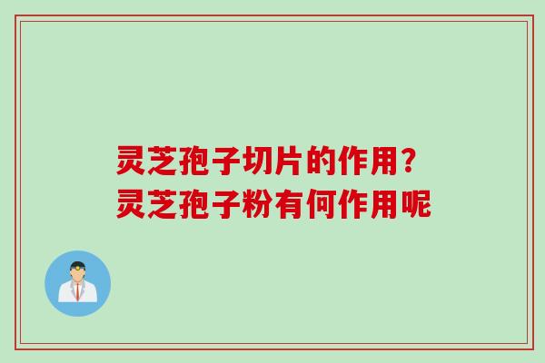 灵芝孢子切片的作用？灵芝孢子粉有何作用呢