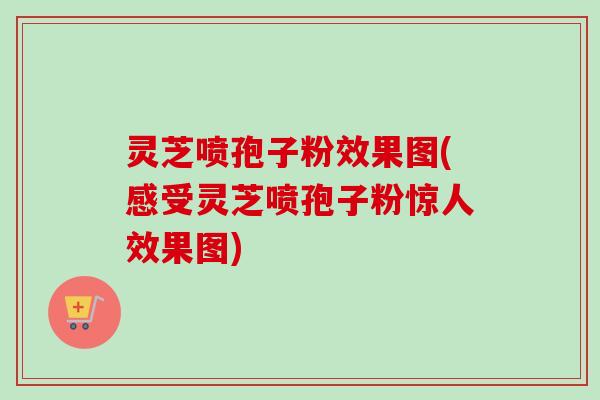 灵芝喷孢子粉效果图(感受灵芝喷孢子粉惊人效果图)