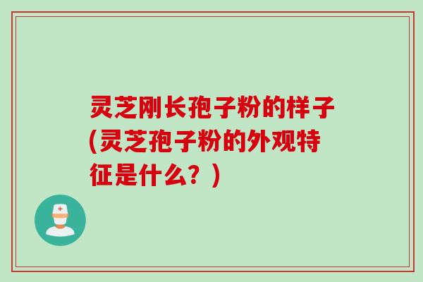 灵芝刚长孢子粉的样子(灵芝孢子粉的外观特征是什么？)