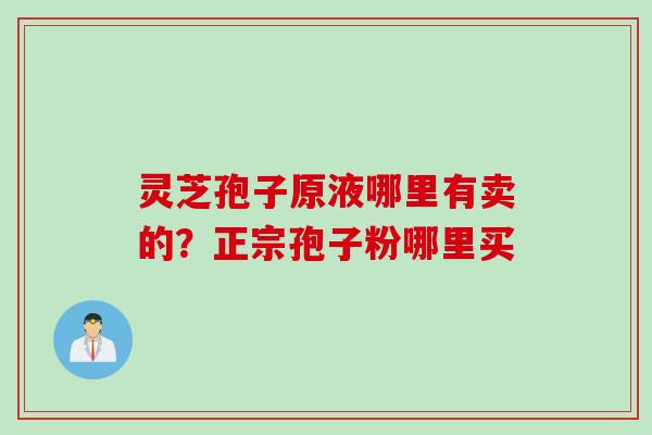灵芝孢子原液哪里有卖的？正宗孢子粉哪里买