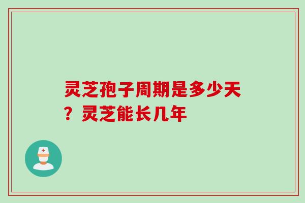 灵芝孢子周期是多少天？灵芝能长几年